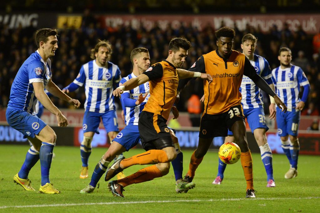 Wolves vs Brighton & Hove Albion