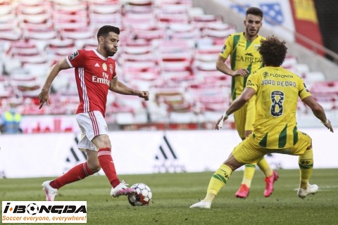 Phân tích SL Benfica vs Desportivo de Tondela 2h30 ngày 24/8