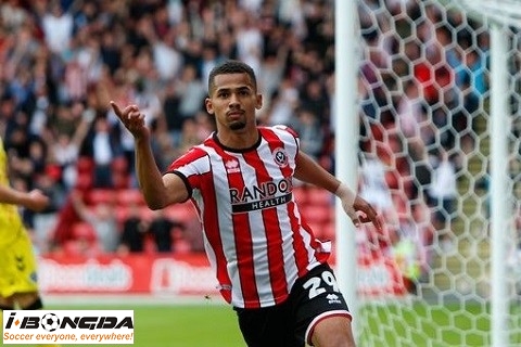 Thông tin trước trận Hull City vs Sheffield United