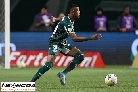 Phân tích Bolivar vs Palmeiras 5h ngày 25/4