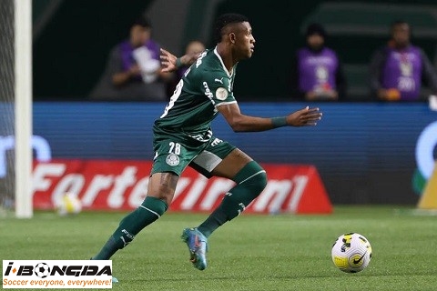 Nhận định dự đoán Vitoria Salvador BA vs Palmeiras 4h30 ngày 15/4