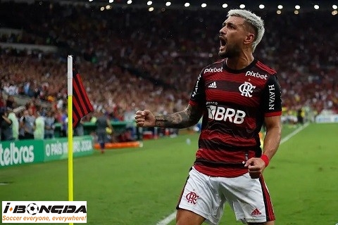 Nhận định dự đoán Tucanes Amazonas vs Flamengo 7h30 ngày 23/5