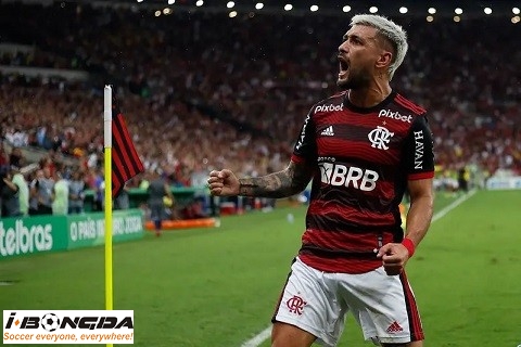 Nhận định dự đoán Flamengo vs Atletico Clube Goianiense 2h ngày 29/7