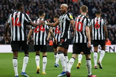 Phân tích Brighton vs Newcastle United 20h ngày 4/5
