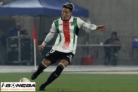 Nhận định dự đoán Palestino vs Mushuc Runa 7h30 ngày 29/5