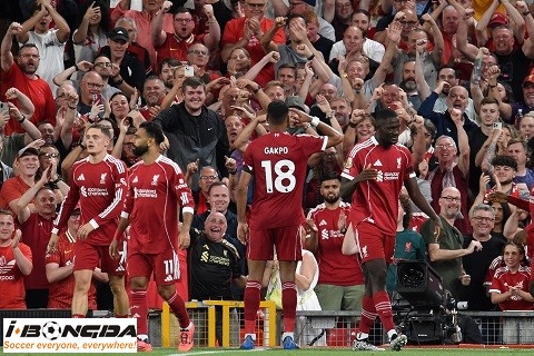 Phân tích Galatasaray vs Liverpool 2h ngày 1/10