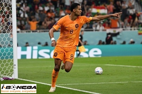 Ph&acirc;n t&iacute;ch Tunisia vs H&agrave; Lan 6h ng&agrave;y 26/6