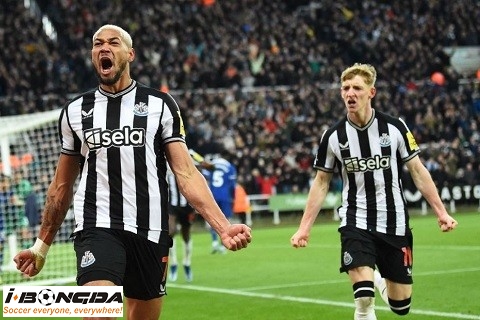 Nhận định dự đoán Newcastle United vs Liverpool 22h30 ngày 23/8