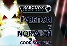 Everton 1-1 Norwich (Highlight vòng 16, Premier League 2011-12)