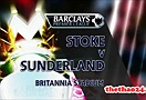 Stoke 0-1 Sunderland (Highlight vòng 24, Premier League 2011-12)