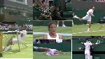'Phát bóng phát cả vợt' - Có một Wimbledon 2012 cưc kì hài hước và hơn thế nữa...